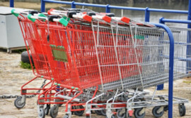 В Санкт-Петербурге индекс потребительских цен составил 100,8%