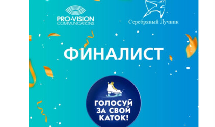 Всероссийский конкурс «Голосуй за свой каток!» вошел в шорт-лист премии «Серебряный Лучник»