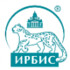 Ирбис