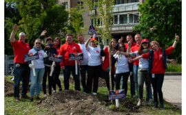 В Димитровском сквере появилась "Аллея Tikkurila"