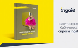 Вышла бесплатная книга о продвижении бизнеса в сети «Блогеры и блогинг. Часть I: Инфлюенс-маркетинг»