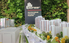 Группа компаний «Пионер» увеличила выручку по МСФО в 2020 ГОДУ