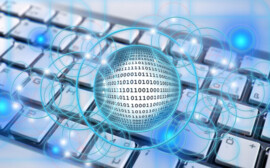 Эксперты Ленинградской области разработали меры поддержки для IT-сферы