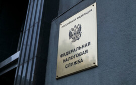 В Ленинградской области увеличивается количество самозанятых