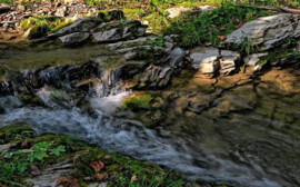Александр Дрозденко пообещал в 2021 году решить проблему чистой воды
