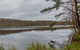 В Ленинградской области для 5-ти особо охраняемых природных территорий создали аудиогиды