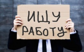 Ленобласть вошла в тройку регионов с самой низкой безработицей‍