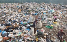 Две несанкционированные свалки ликвидировали в Ленинградской области