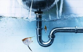 Частное водоснабжение и водоотведение в Ленобласти останется без господдержки