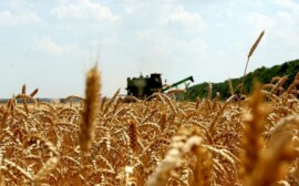 В Ленобласти фермерам на топливо выделят 16,4 млн рублей