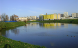 В Санкт-Петербурге реку Новая оздоровят за счет бюджета