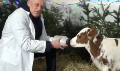 «Пей-пей, маленький!»: Губернатор Ленобласти Александр Дрозденко «задобрил» символ 2021 года
