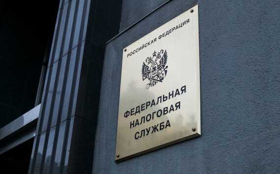 В Ленинградской области увеличивается количество самозанятых