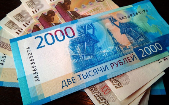 Ленинградская область получила президентский грант для финансирования НКО