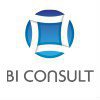 BI Consult