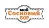 Проект «Мой Сосновый Бор»