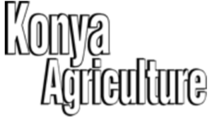 Konya Agriculture Fair