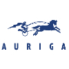 Auriga