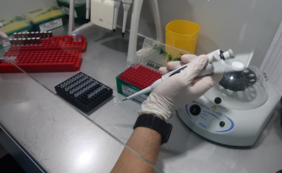 Лаборатория МИБС вошла в программу «Канцерогеном»