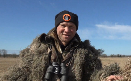 Блогер: В Ленобласти появились тундровые лебеди, занесенные в Красную книгу РФ