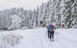 В Ленобласти составлен рейтинг самых популярных экотроп с лыжными маршрутами