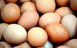 Ленобласть планирует экспортировать свежие куриные яйца в Африку