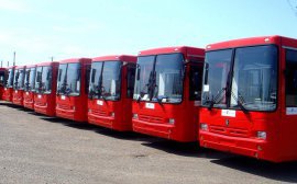 В Санкт-Петербурге закупили 20 новых автобусов для перевозки детей‍