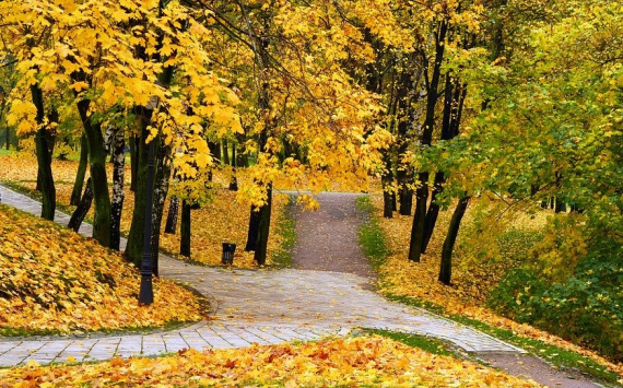 В Ленобласти два парка благоустроят за 90 млн рублей