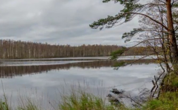 В Ленинградской области для 5-ти особо охраняемых природных территорий создали аудиогиды