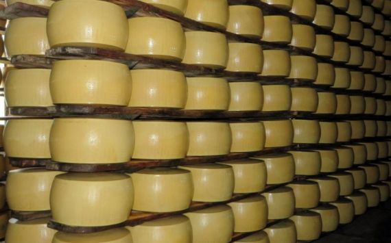 В Ленобласти 152 млн рублей вложат в производство натуральных сыров