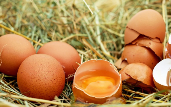 Власти Ленобласти объяснили рост цен на яйца политикой ретейлеров